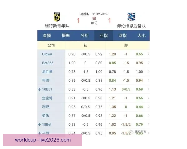 揭秘世界杯买球盘口背后的策略与投注技巧全解析