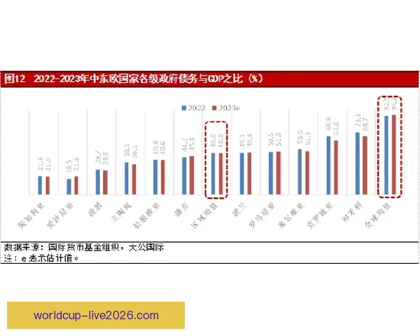 世界杯买球入口分析 全球热潮下的投注趋势与风险解析